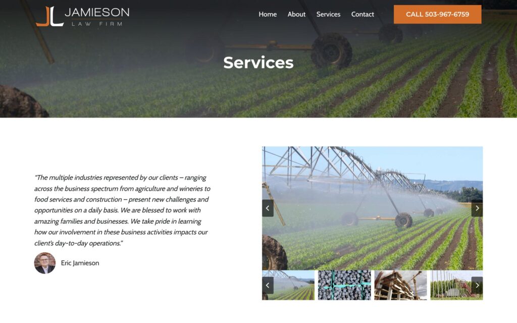 Jamieson Law Firm website services page