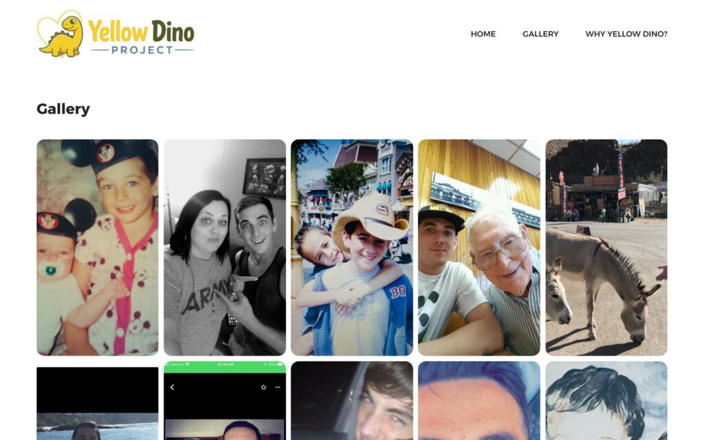 Yellow Dino Project website gallery page